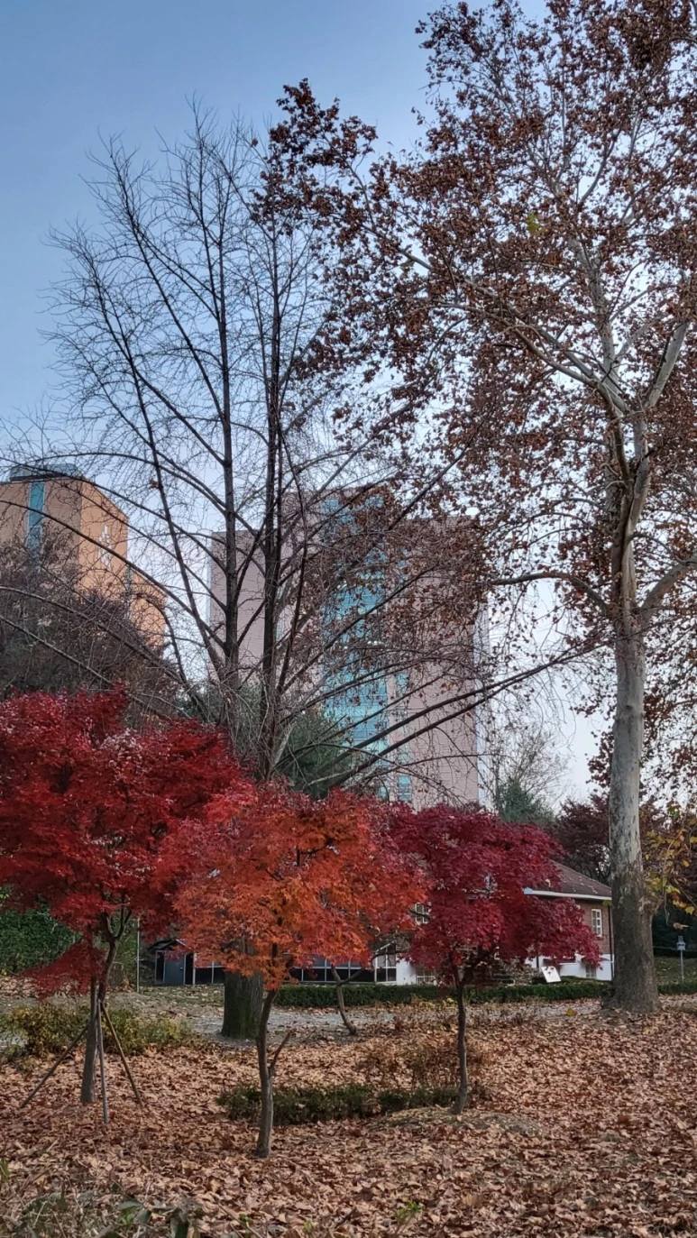 20221121%EF%BC%BF171813.jpg?type=w773