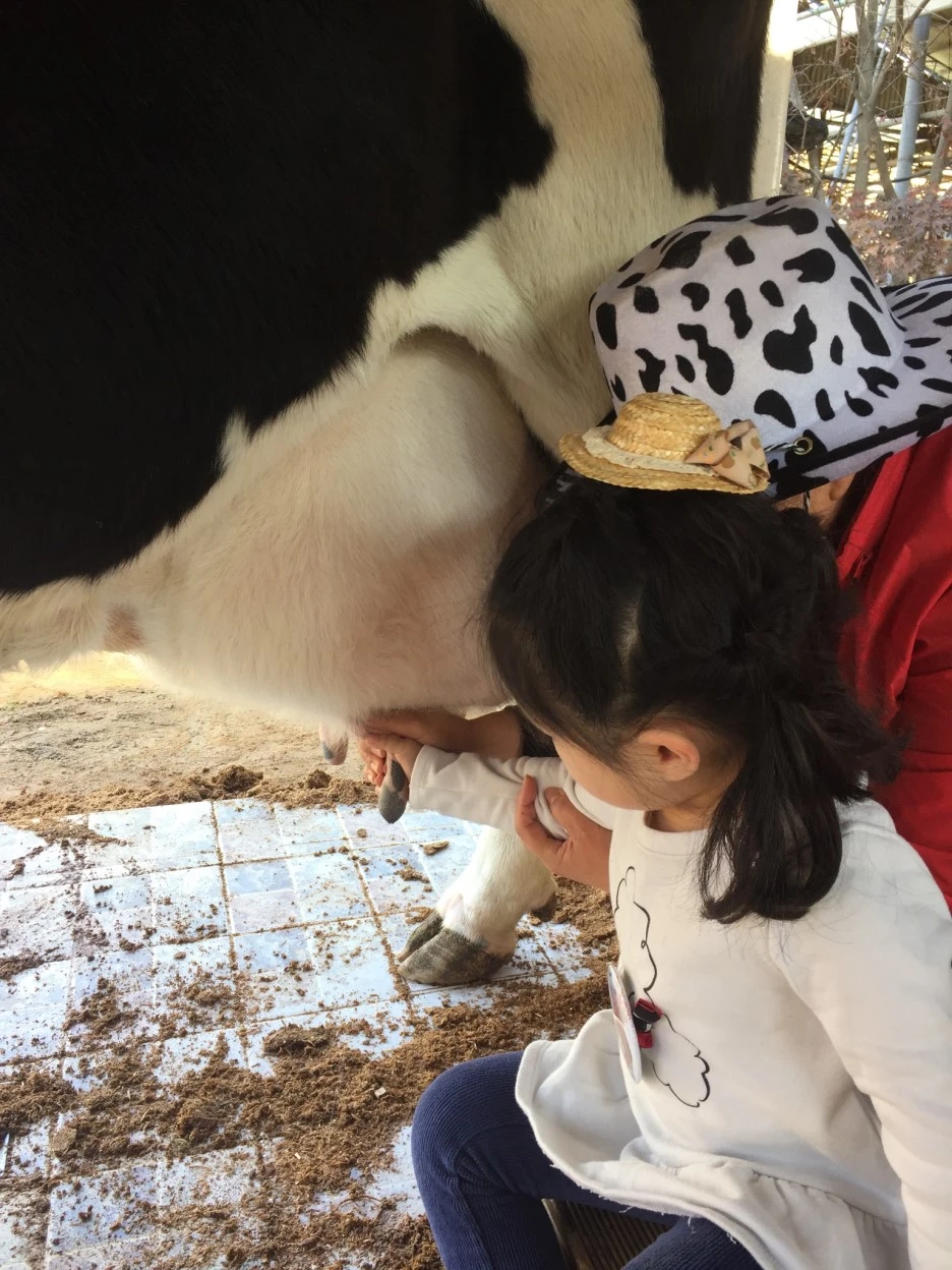 f611b2b5-a674-4e3e-a29a-7a6d8b6f3bea.jpg?type=w1