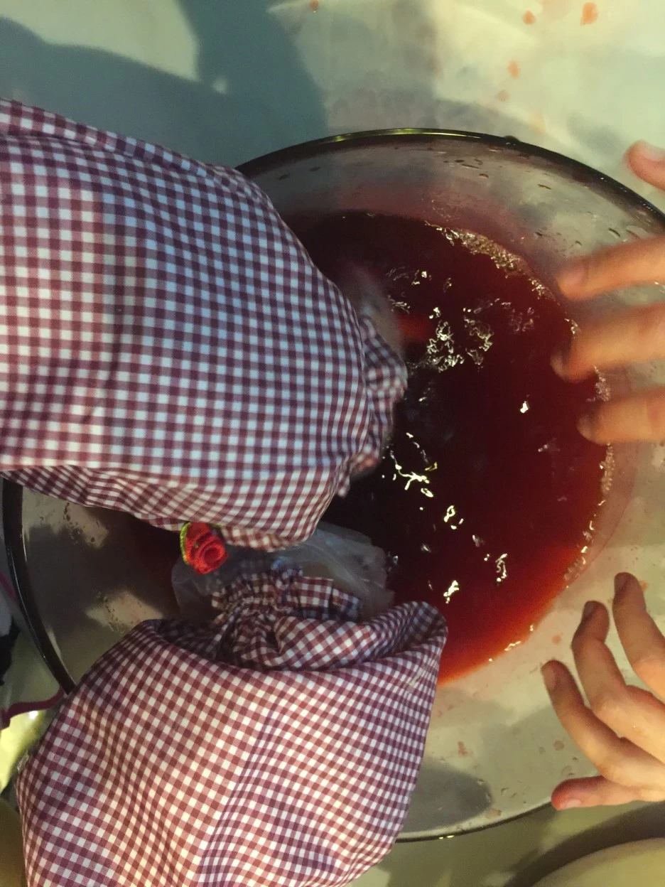 ed5cf9f7-2f2a-40f5-bba0-788382ffaa67.jpg?type=w1