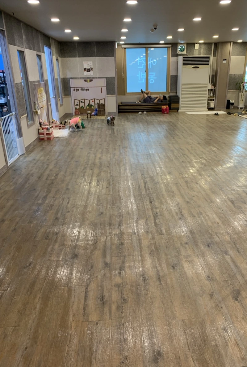 SE-58f5879d-2609-4f08-ae48-f10b4e0986fe.png?type=w800