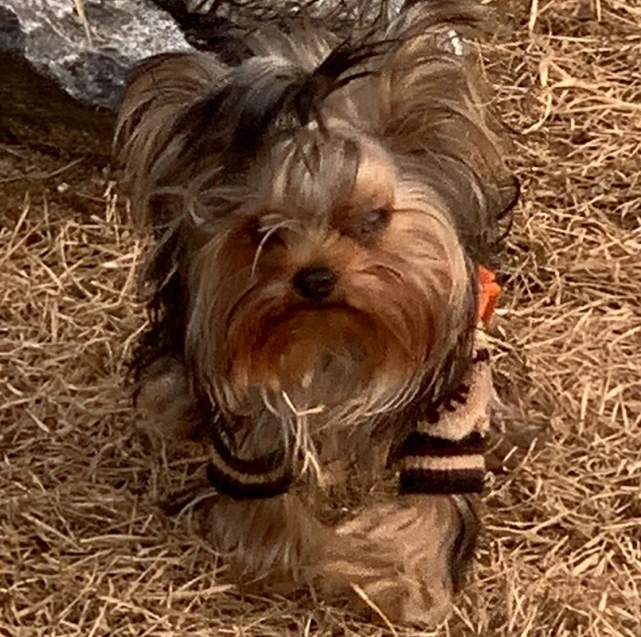 SE-2505983d-848d-477a-bb6c-9c6c6a868e5d.png?type=w800