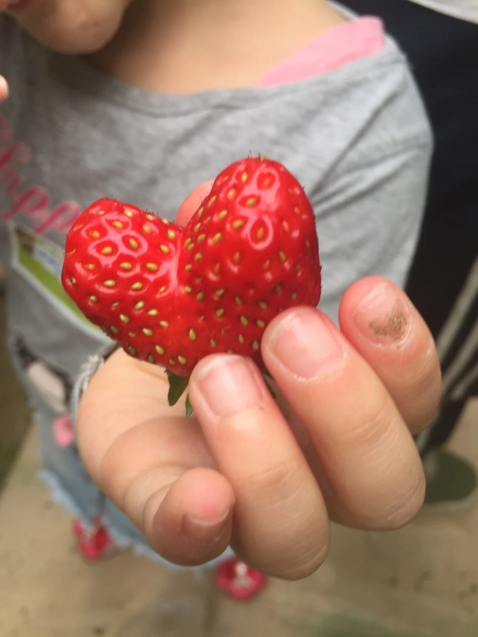 57c79587-013e-40c9-a2a9-ac1c490bcca1.jpg?type=w1