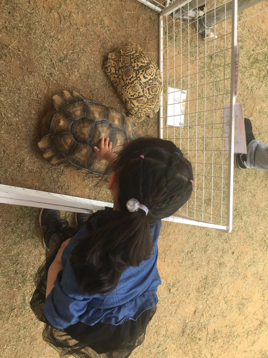 377f4b13-cc93-4306-80f1-dba9eb7b737e.jpg?type=w1