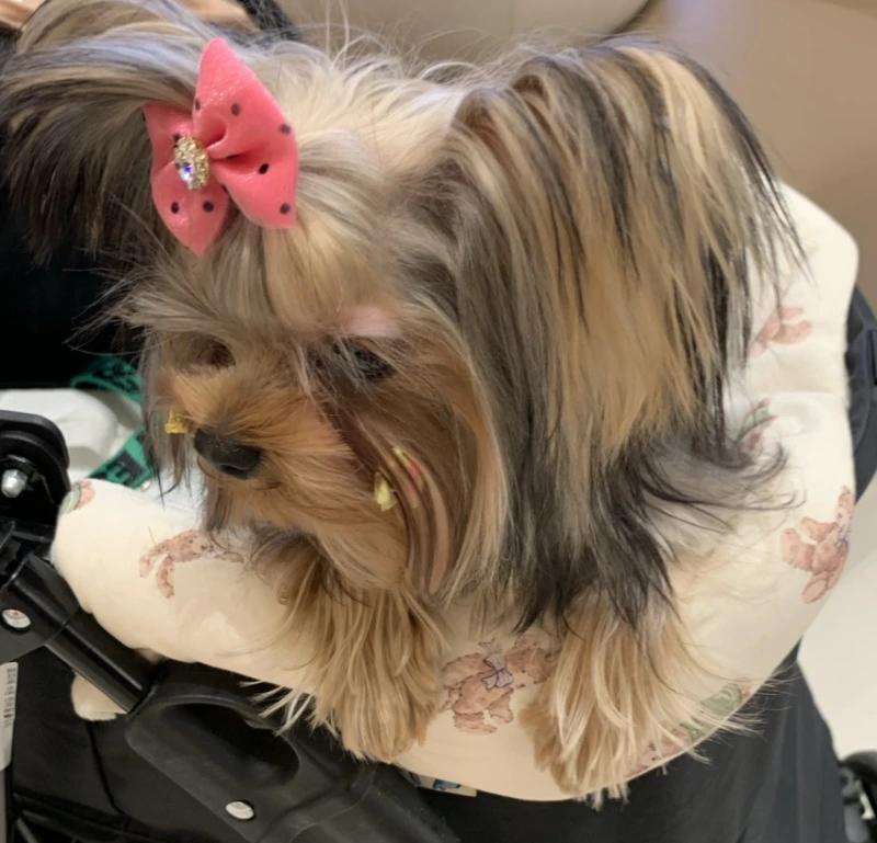 SE-6192cee3-f169-4235-9b18-dc0f0b60c330.png?type=w800