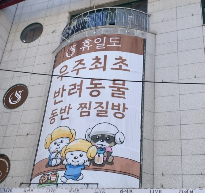 SE-49a6faef-bf20-4b94-b731-3df7e41ddea9.png?type=w800