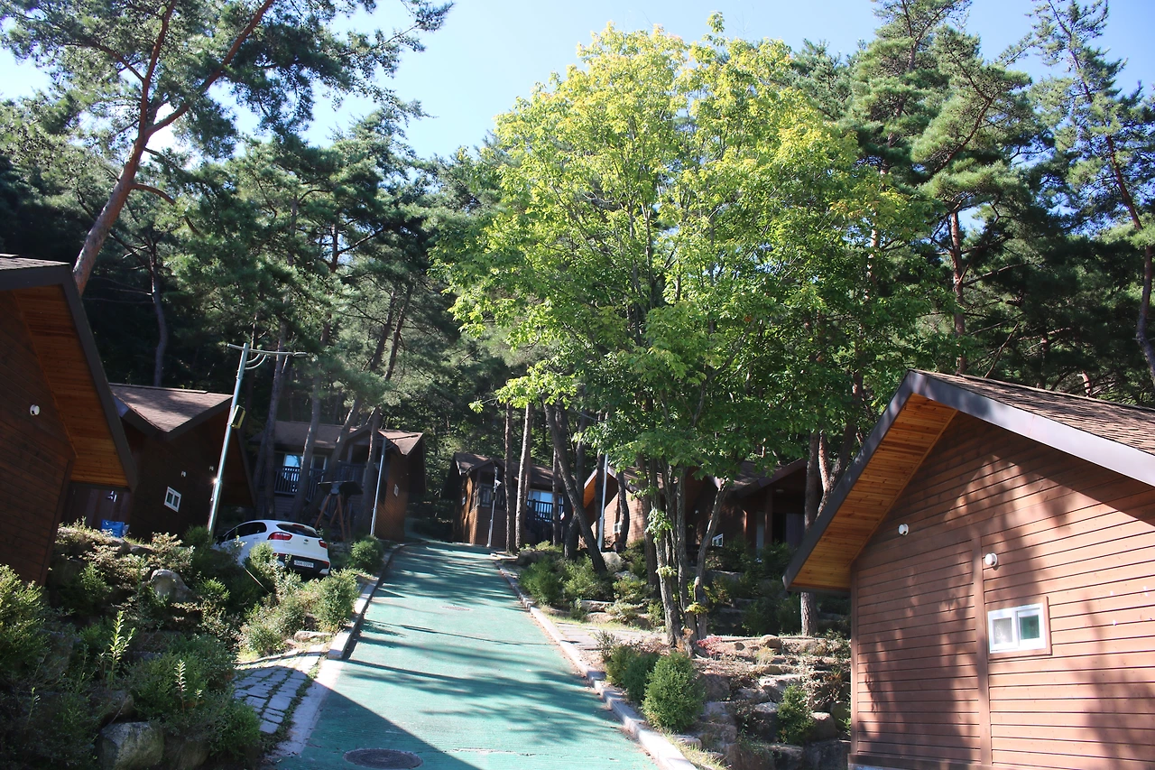 8동의 숲 속의 집에서 지친 마음을 달래보자.JPG