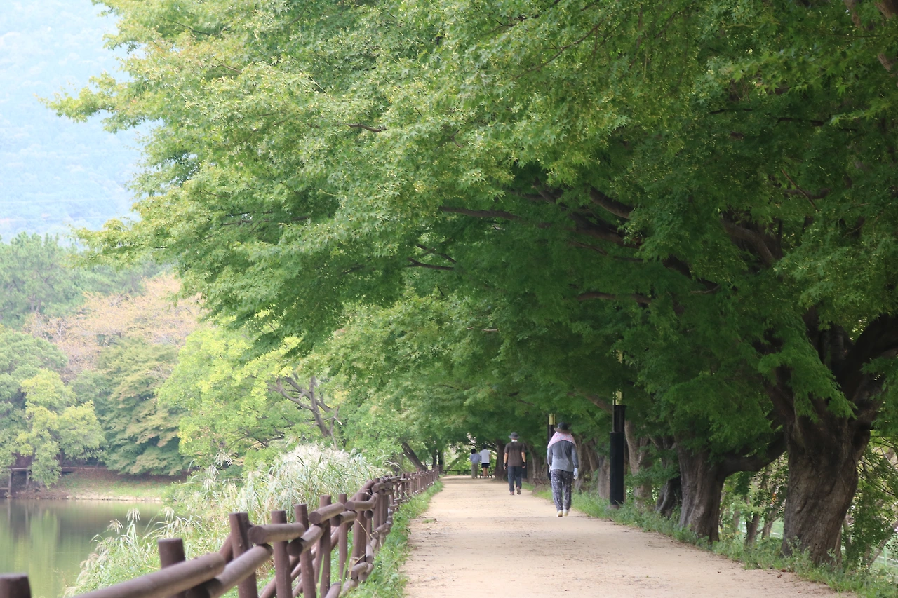 저수지 둘레길과 숲 사잇길을 산책의 매력에 빠진다..JPG
