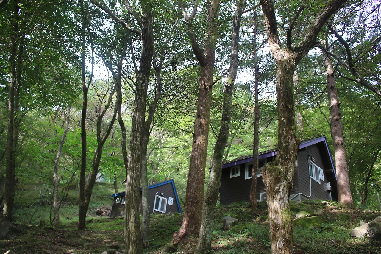 용추자연휴양림의 아침.JPG