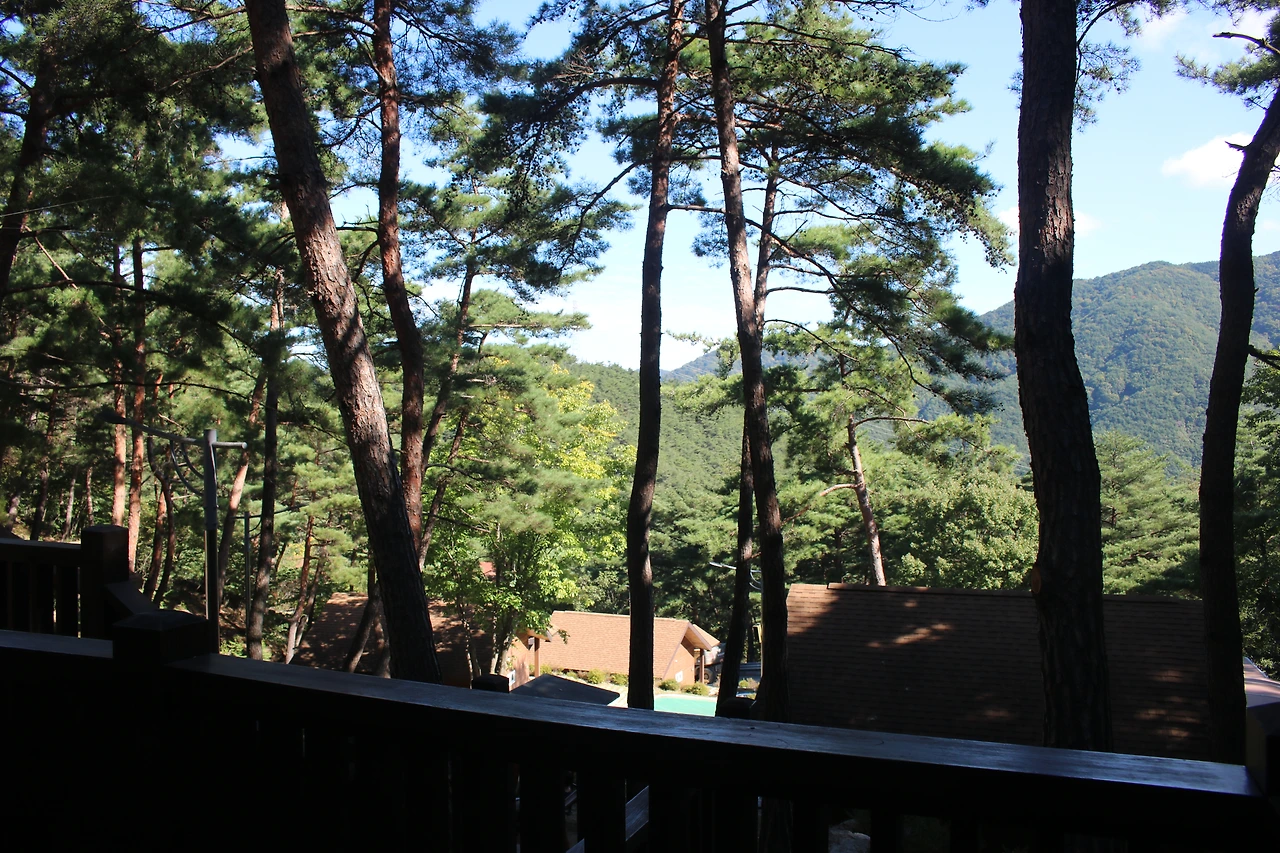 테라스에서 숲멍하기 좋다..JPG