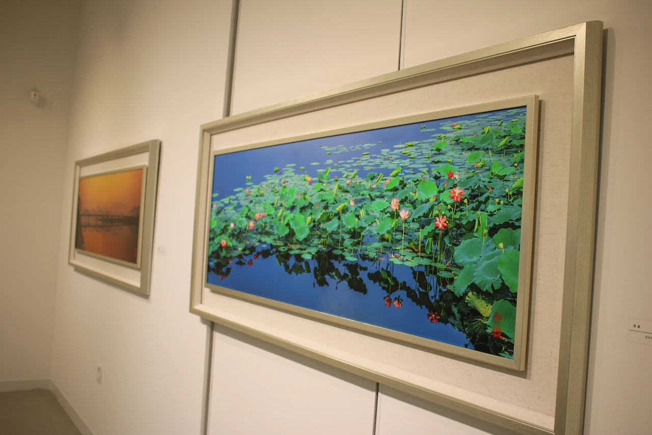 생로병사로 표현된 연꽃.JPG