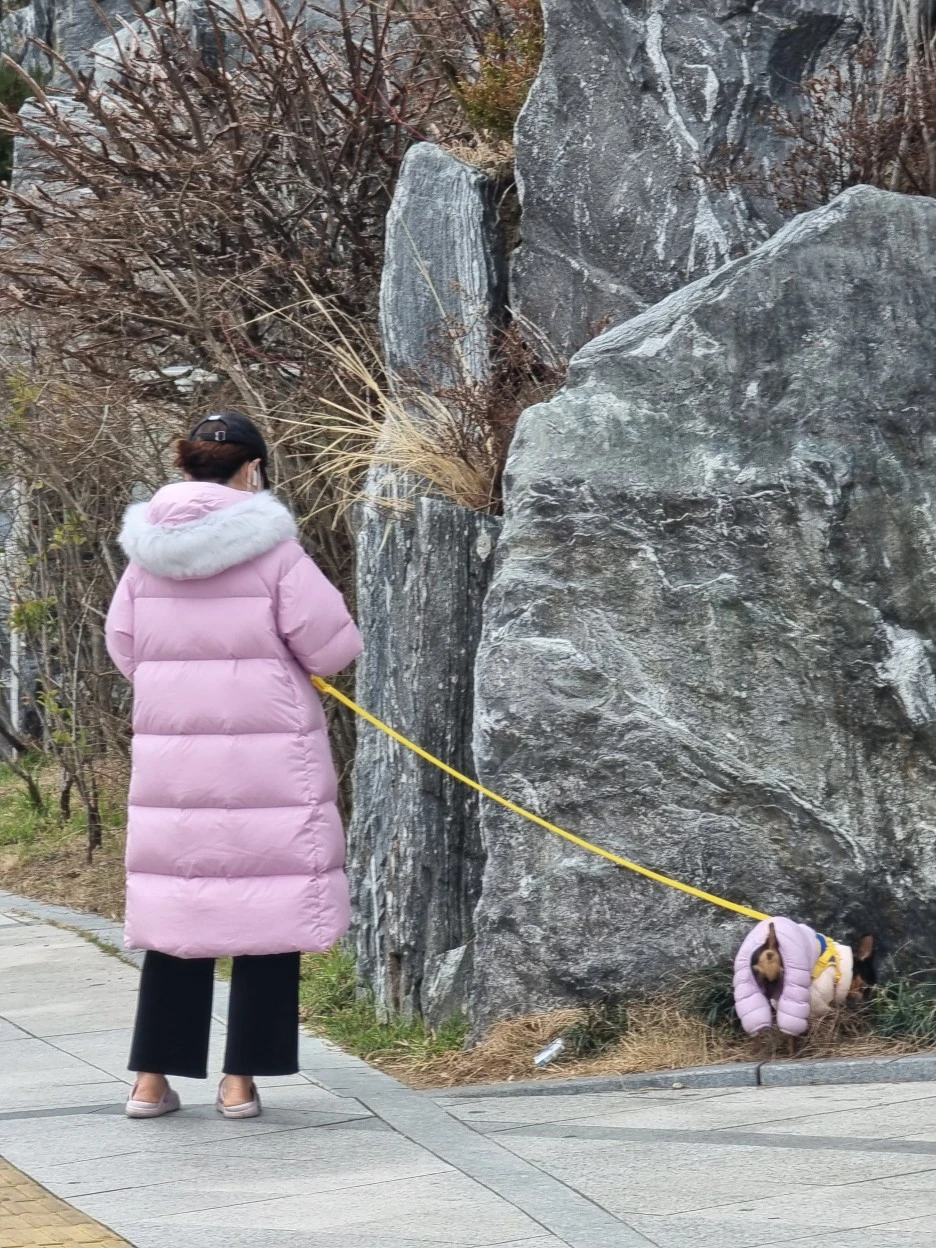 KakaoTalk_20230218_125957394.jpg?type=w1