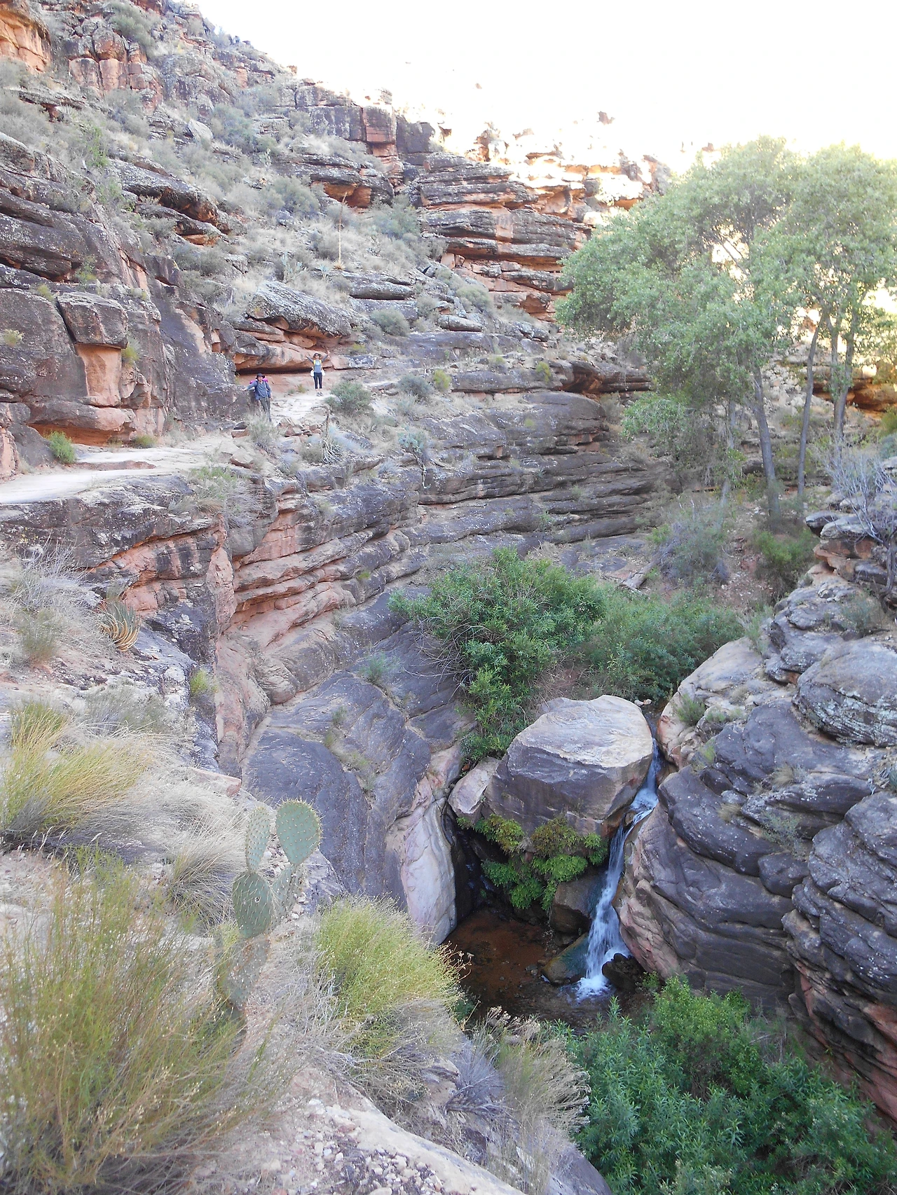 1_3_그랜드캐년 콜로라도리버에서 올라가는 길.JPG