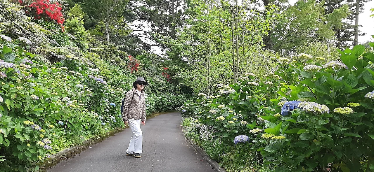 dc2d91d3162e407d3796aacf64bbfda283856500