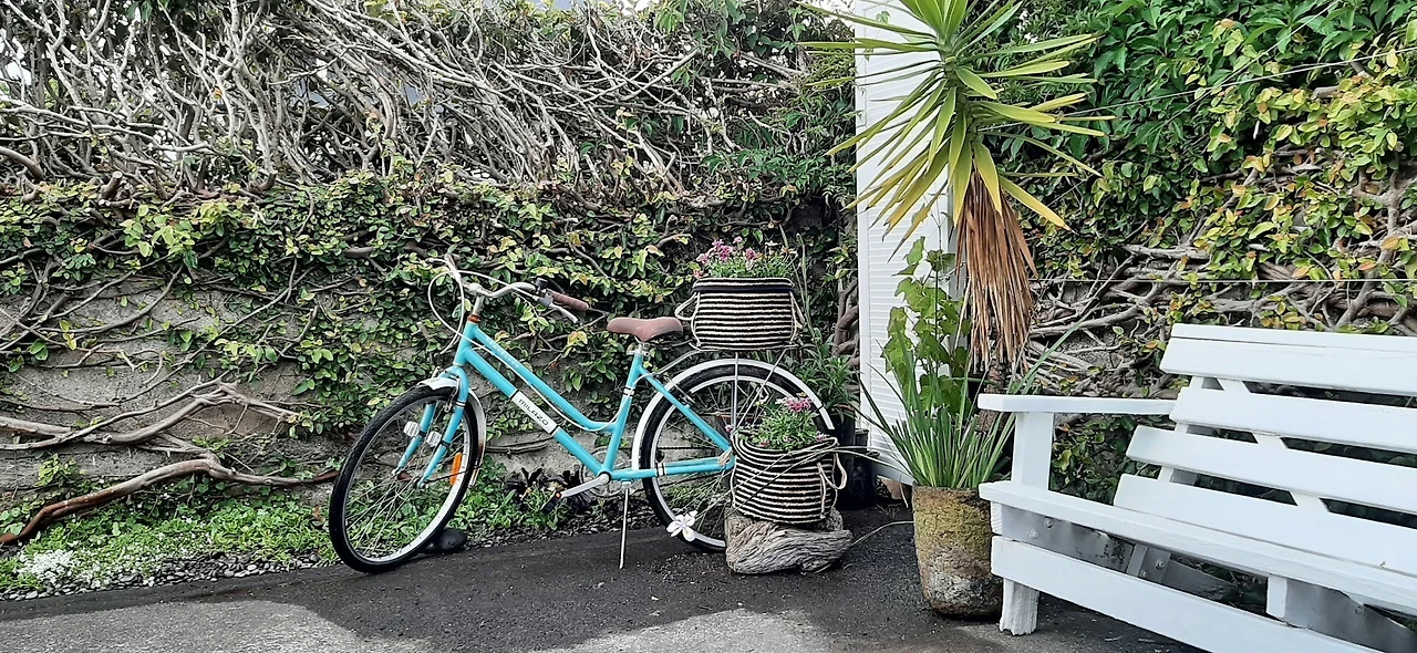 8c601a9c8de3399341fadf1cf2984c6952a1c649