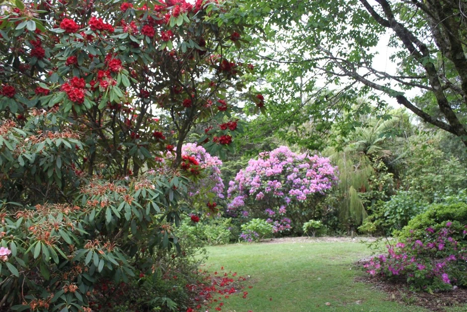 f98b3e39a1dd415da9d5a5c38e924375ec176c1d