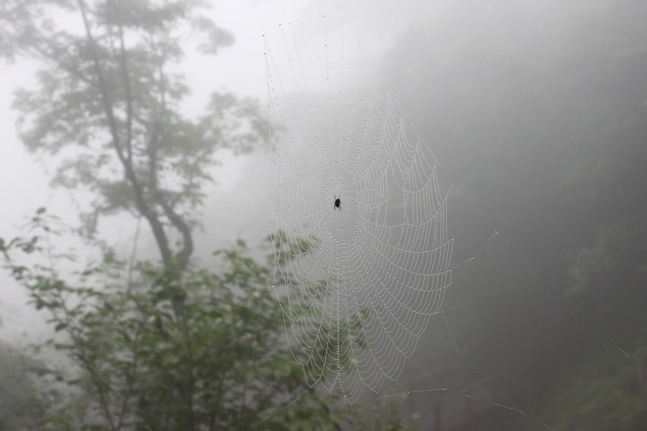 기다리는 마음.JPG
