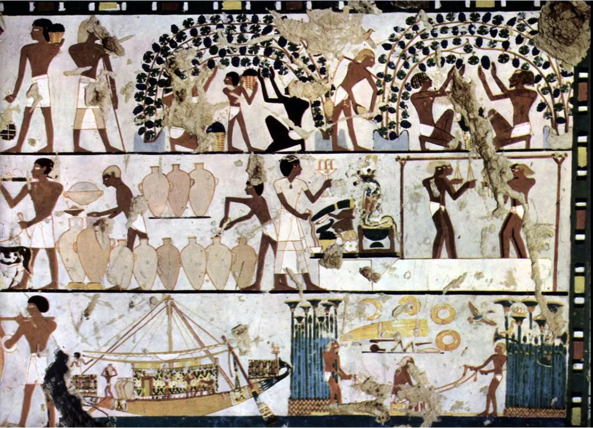 고대 이집트의 포도 재배 포도주 생산 및 상업(기원전 1500년경).JPG