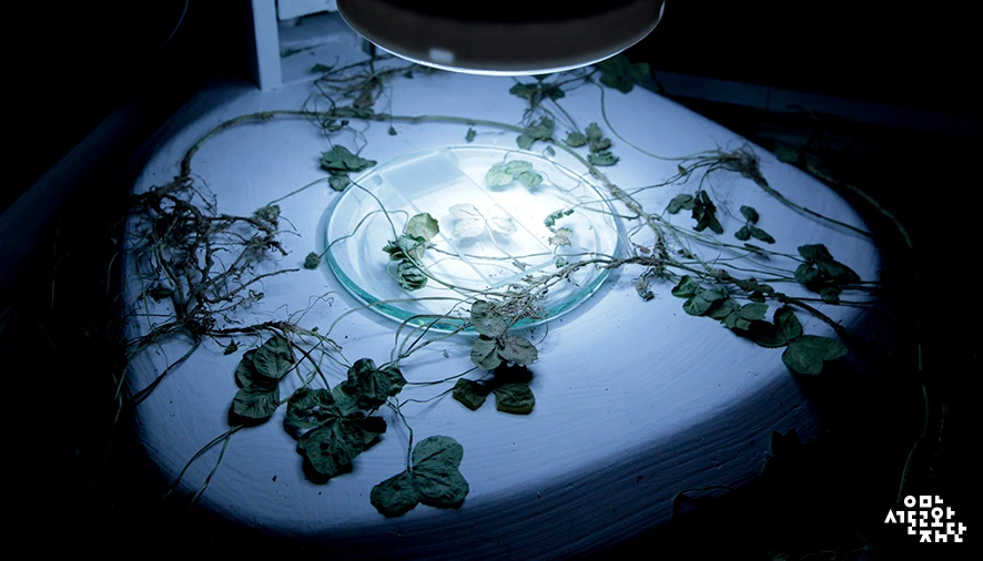 170817-%EC%98%A4%EC%9E%AC%ED%98%95-%EC%84%9C%EA%B5%90%EC%98%88%EC%88%A0%EC%8B%A4%ED%97%98%EC%84%BC-%EC%8B%A0%EC%9E%AC%EC%9D%80%2C-%EC%B5%9C%EC%9C%A4%EB%AF%B8-%EC%9E%91%EA%B0%80_%EB%AF%BF%EC%9D%8C%EA%B3%BC-%EA%B4%B4%EB%8B%B4%EC%97%90-%EA%B4%80%ED%95%9C-.jpg?type=w966