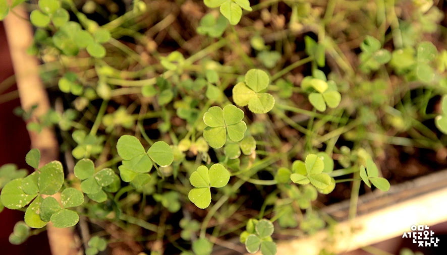 170817-%EC%98%A4%EC%9E%AC%ED%98%95-%EC%84%9C%EA%B5%90%EC%98%88%EC%88%A0%EC%8B%A4%ED%97%98%EC%84%BC-%EC%8B%A0%EC%9E%AC%EC%9D%80%2C-%EC%B5%9C%EC%9C%A4%EB%AF%B8-%EC%9E%91%EA%B0%80_%EB%AF%BF%EC%9D%8C%EA%B3%BC-%EA%B4%B4%EB%8B%B4%EC%97%90-%EA%B4%80%ED%95%9C-.jpg?type=w966