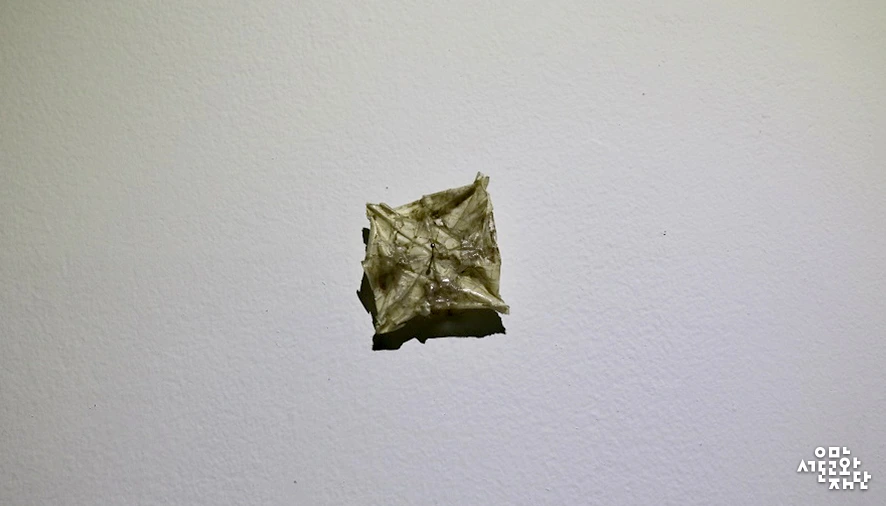 %EB%B0%95%EC%86%8C%ED%98%84-%EB%96%A8%EC%96%B4%EC%A7%84-%EA%B2%83%EA%B3%BC-%EB%B9%9B%EB%82%98%EB%8A%94-%EA%B2%83%EA%B3%BC-%EC%9E%8A%ED%98%80%EC%A7%84-%EA%B2%83---%EA%B5%AC%EC%9D%80%EC%A0%95-%EA%B0%9C%EC%9D%B8%EC%A0%84-10.jpg?type=w966