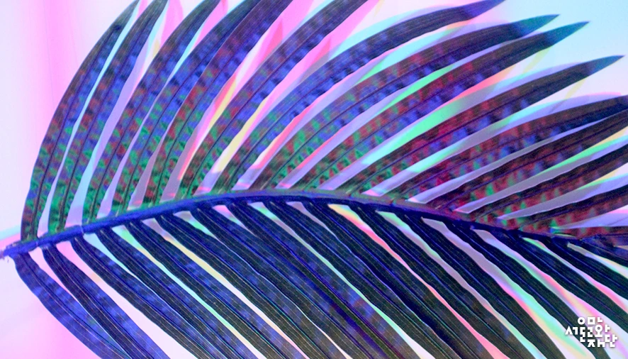 %EC%9D%B4%ED%95%98%EC%9D%80-%ED%86%A0%EB%AA%A8%ED%9E%88%EC%BD%94-%EC%BF%84%EA%B3%A0%EC%BF%A0-%EC%9B%8C%ED%81%AC%EC%83%B5-05.jpg?type=w966