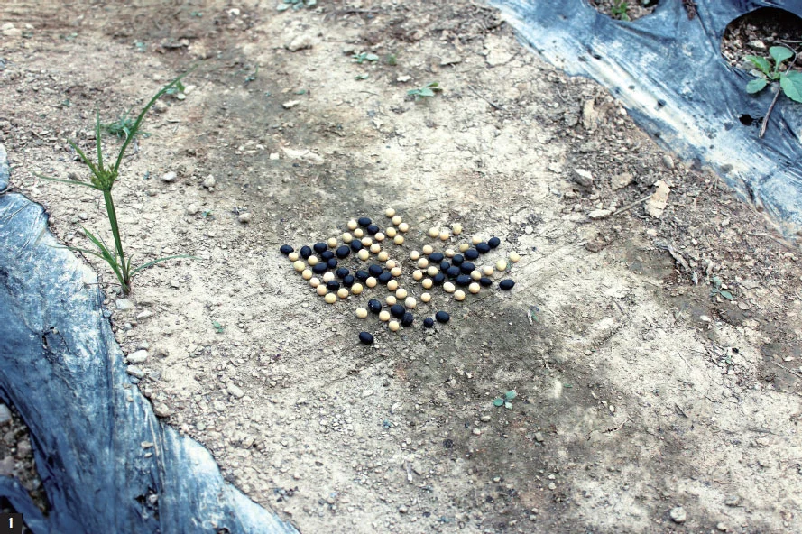 20171011162356881_9OMEYIC3.jpg?type=w966