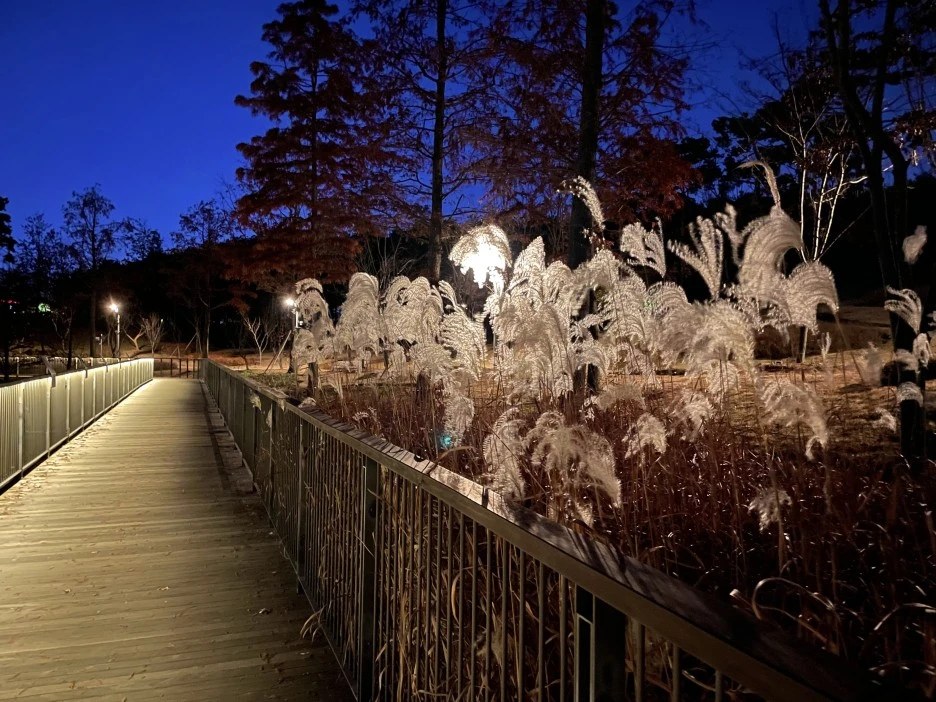 IMG_2363.jpg?type=w1