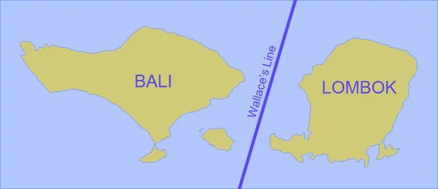 wallace-map.jpg?type=w1200