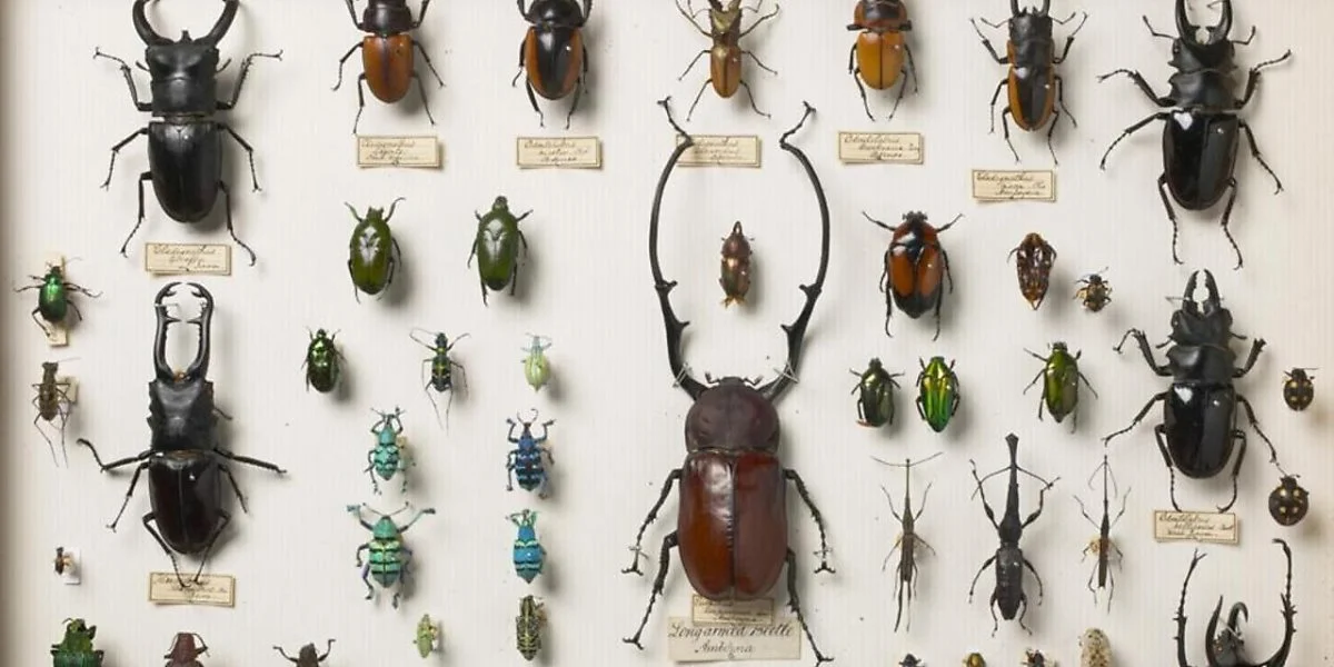 p01lhj0l.jpg?type=w1200