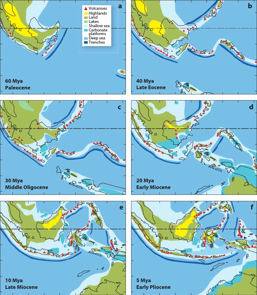 Figure-1-Map-of-the-Indo-Australian-Archipelago-IAA-indicating-contemporary-landmasses.png?type=w1200
