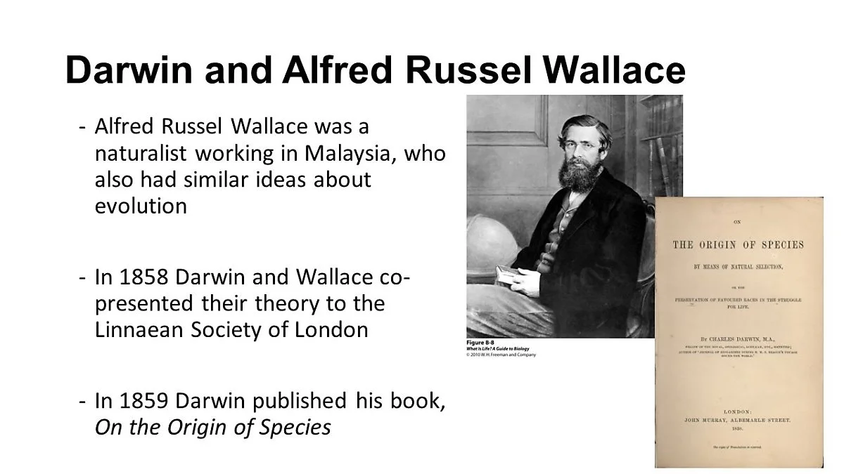 Darwin%2Band%2BAlfred%2BRussel%2BWallace.jpg?type=w1200