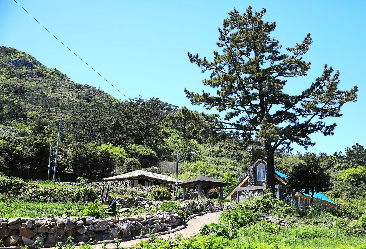 사촌서당과 공소를 오르는 돌담길.JPG