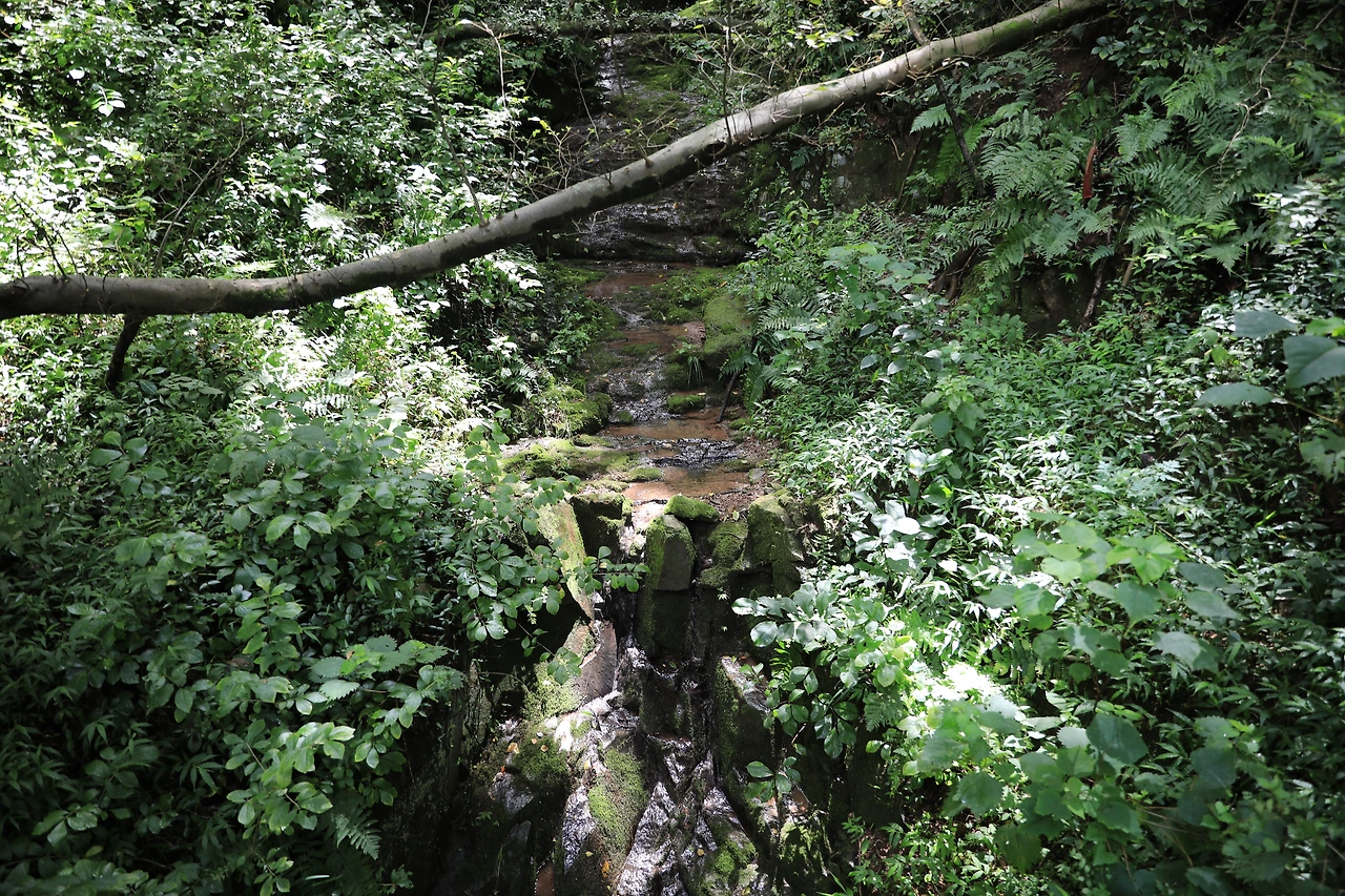 남산의 원시계곡.JPG