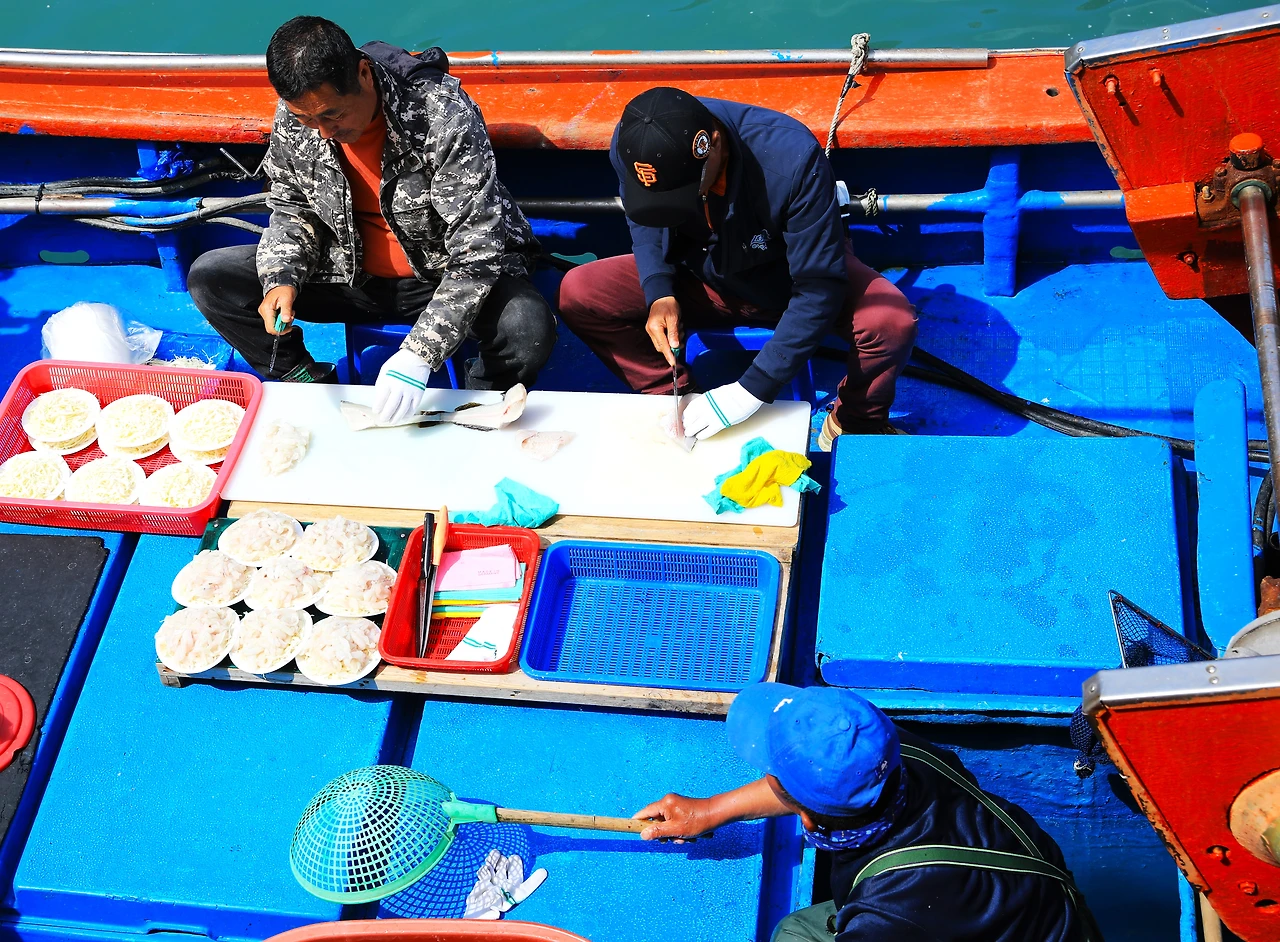 횟배의 준비.JPG