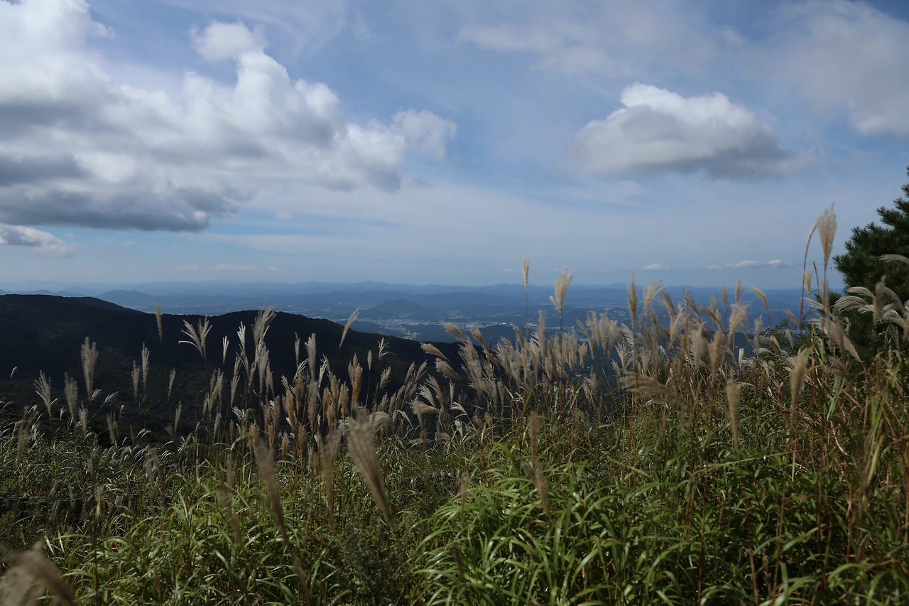 정령치의 갈대.JPG