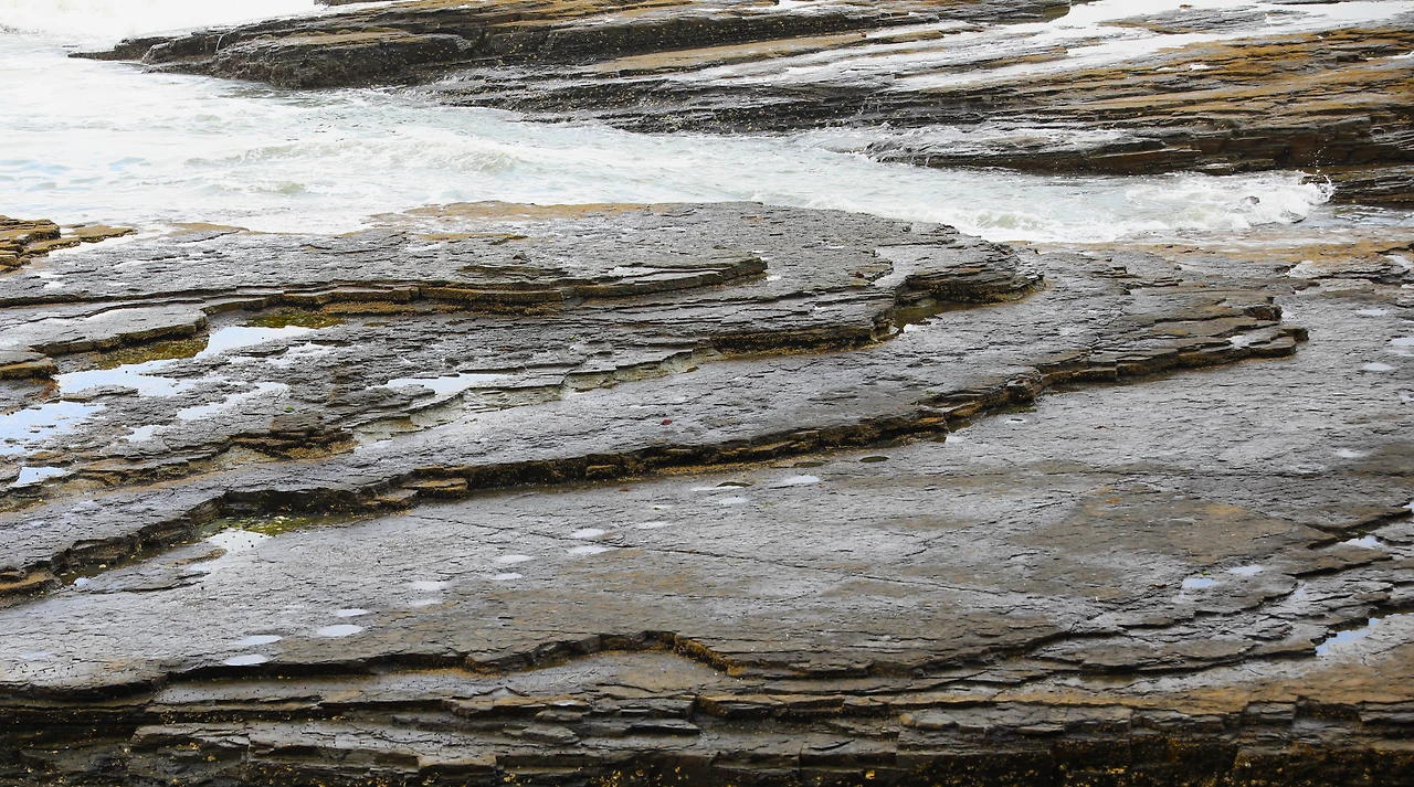 다양한 공룡 발자국.JPG