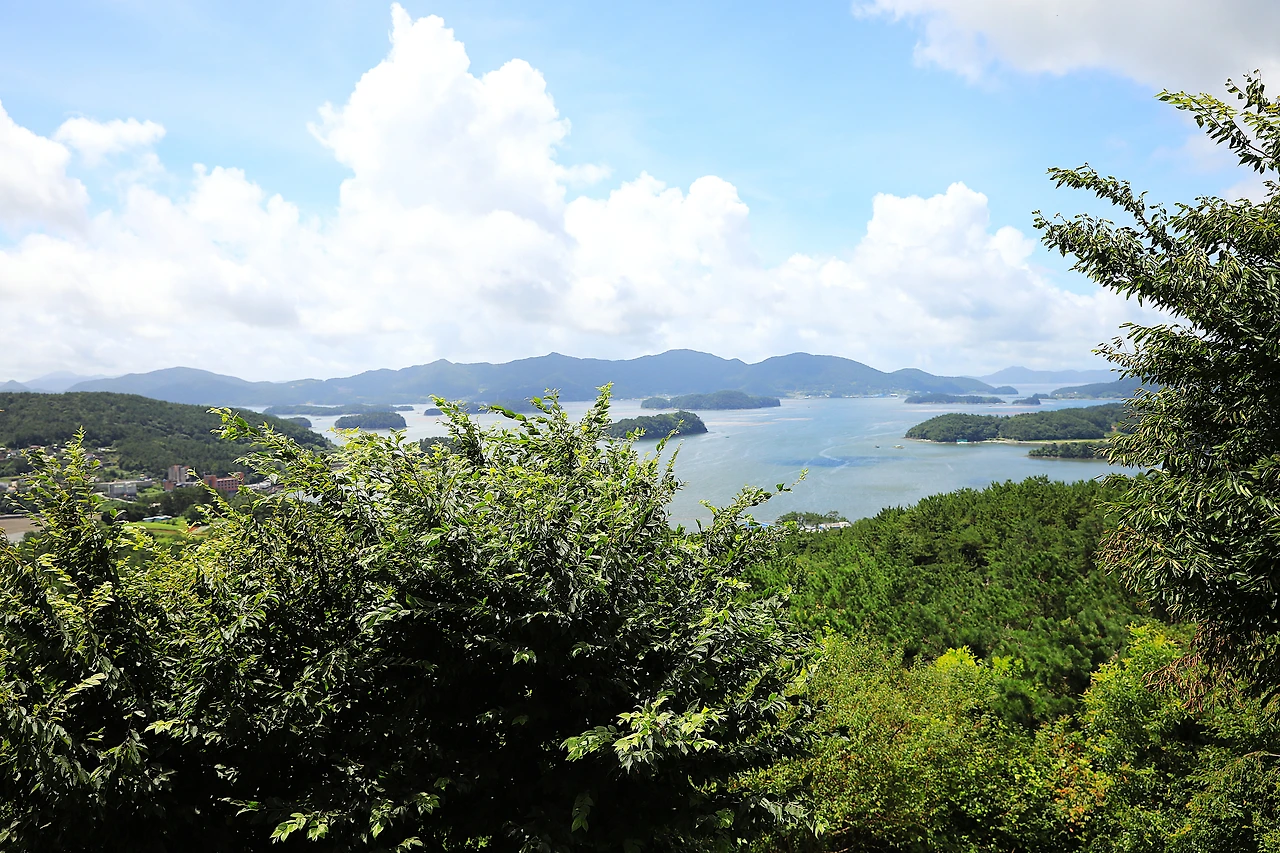 남산에서 바라본 명상을 하는 듯한 솔섬.JPG