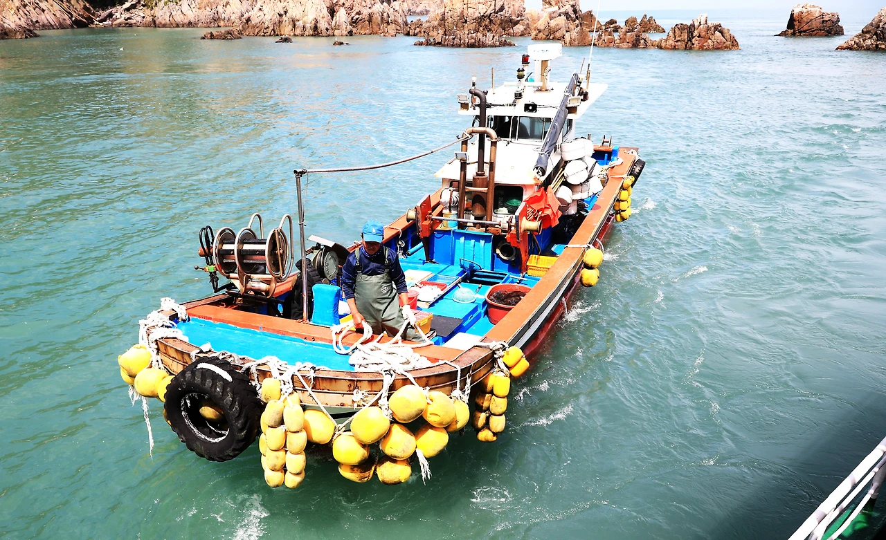 유람선으로 다가서는 횟배.JPG