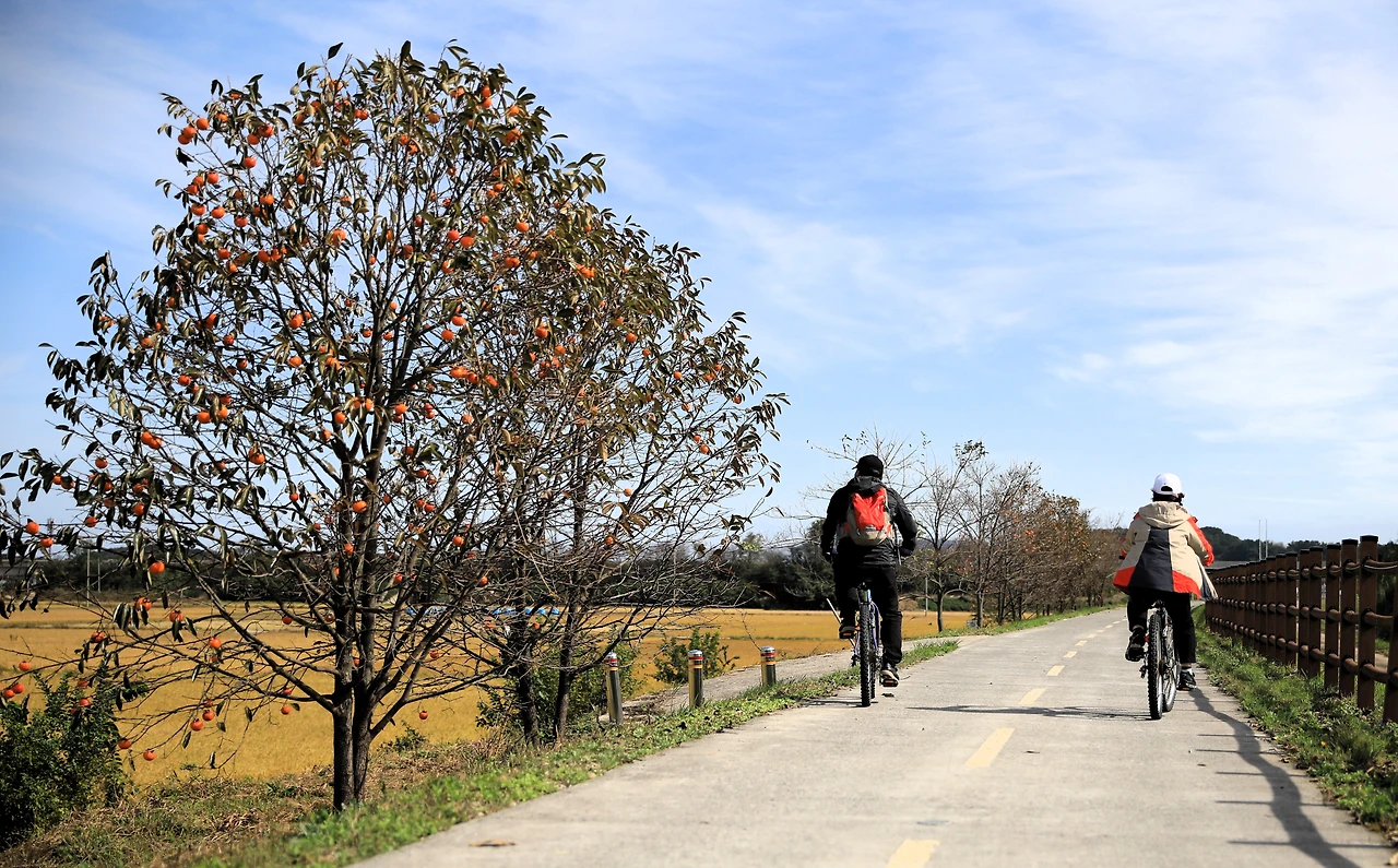 02_금강하구둑 자전거 길.JPG