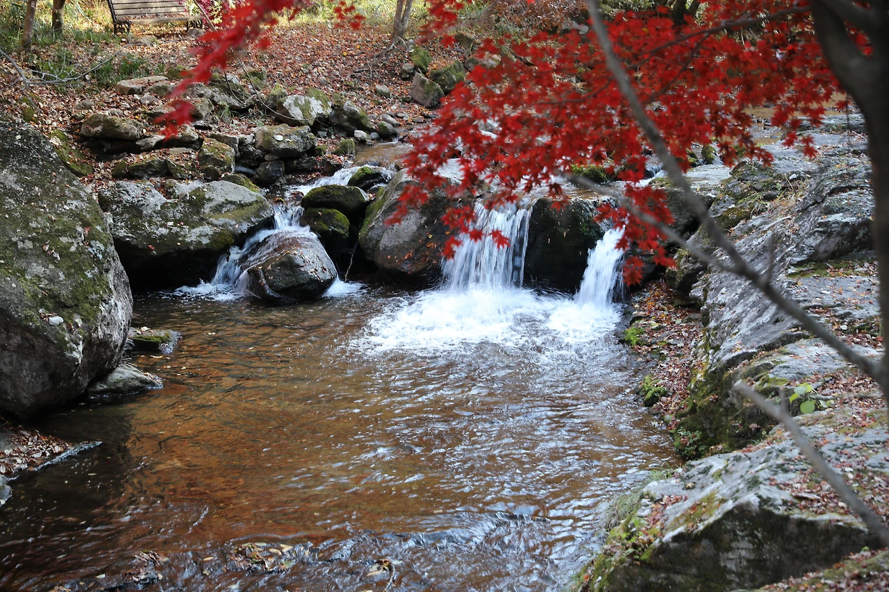 가을계곡.JPG