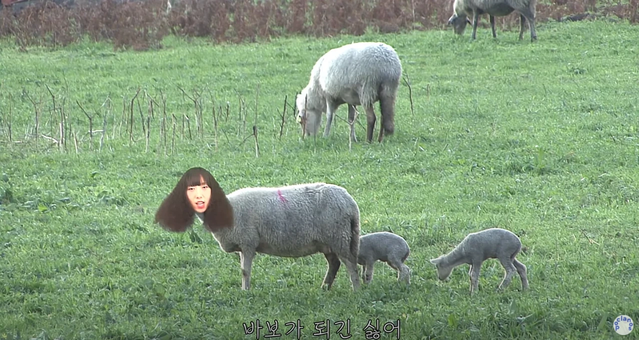 xbq0aW1gdYtA2lTpkge70TCBU4xEUjEwv1MIY2c6jAC5oWnc8vQeMjrFOmJqrlrfNY-g--t2hZliRj3OjGPLYdoIRbIARsOvI9yf-O5XrF41F5aJmafI8Jg3DpgEshpN-Vs2fghF