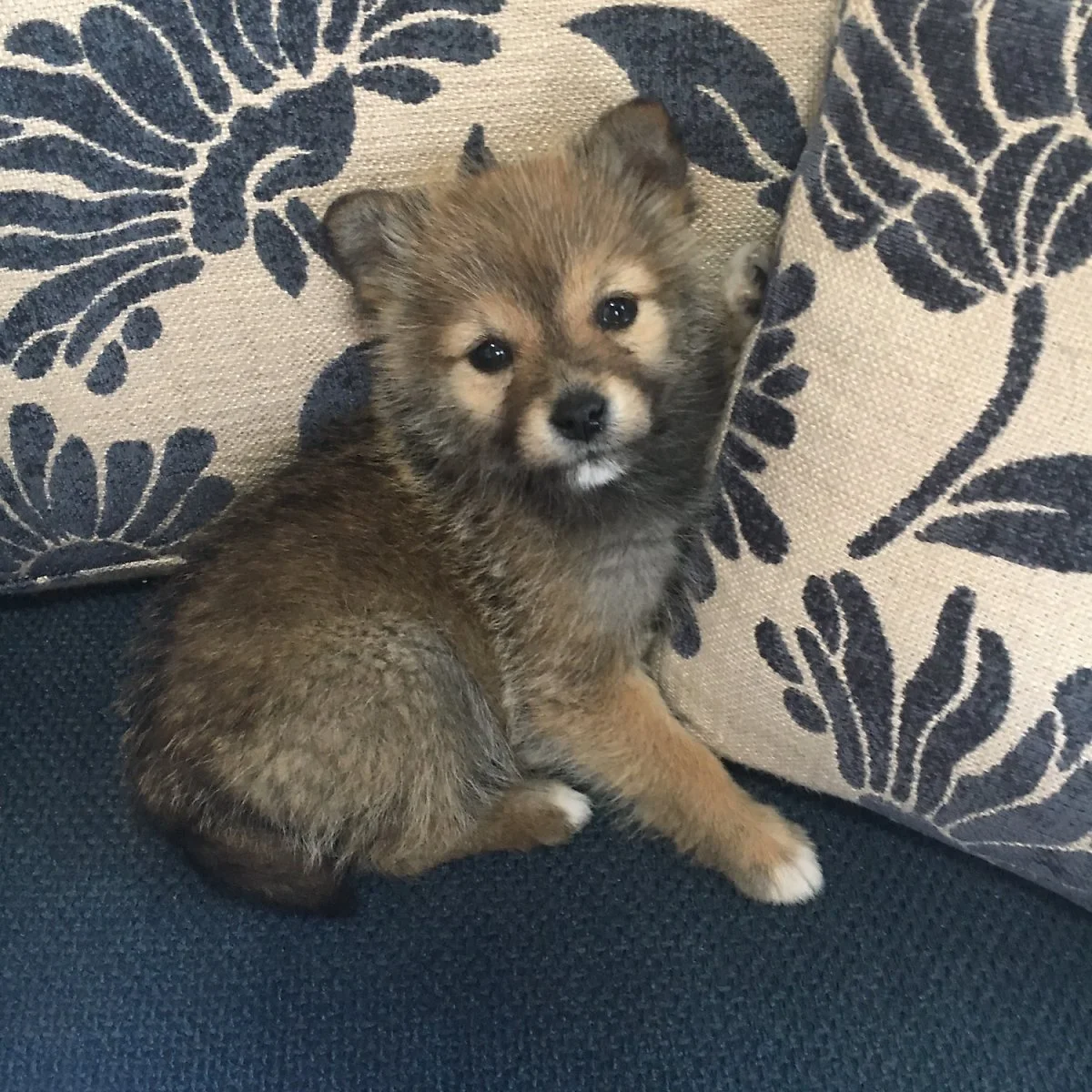 75E52324-CEEF-4510-94FE-F6FA74E56D24.jpeg?type=w1200