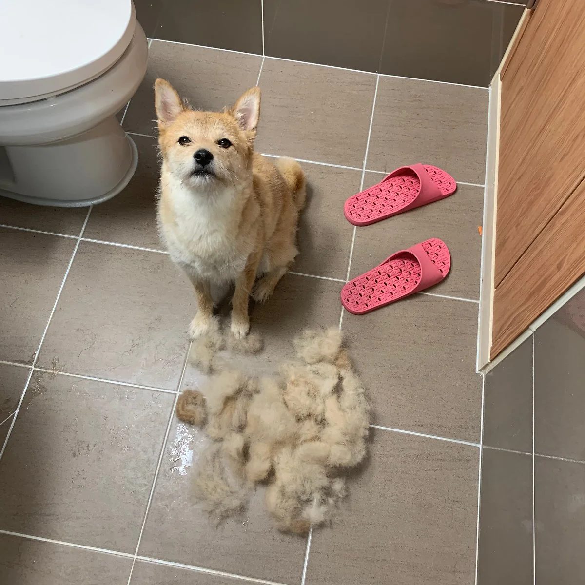 770B3DF7-B613-42AB-BA8B-2FA4D17EB007.jpeg?type=w1200