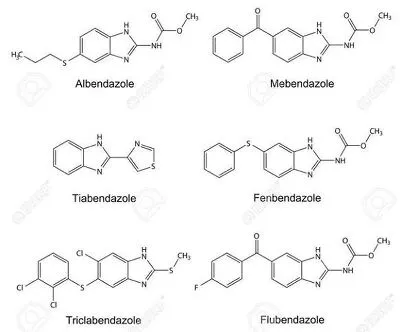 RWfe-5DrVenHWzHzyGiHtKND49EDtwZFlEUzh2Mvqws177MCE8xk8vo8ymnWOtNk4h07MRRF02XCaCPTIpAnSwhedIeM8aEiW6FlE01pI0ML