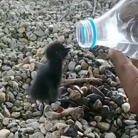 2580654_uploaded_5573851.jpg?type=w966