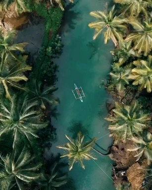 6205197_uploaded_9042778.jpg?type=w966