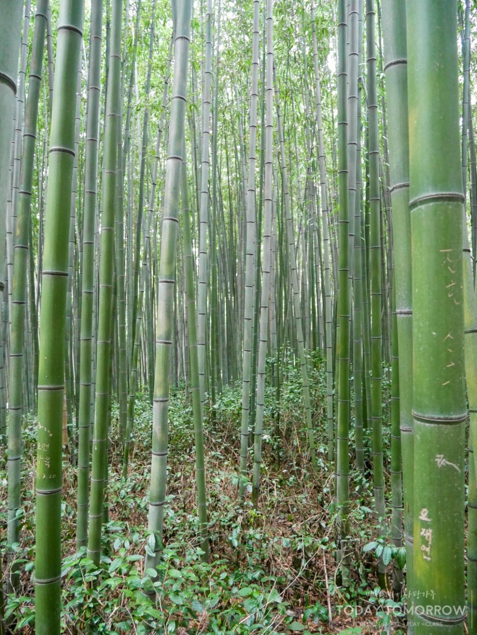 SE-0f49f553-9311-4872-a24c-13361f9d2948.jpg?type=w966