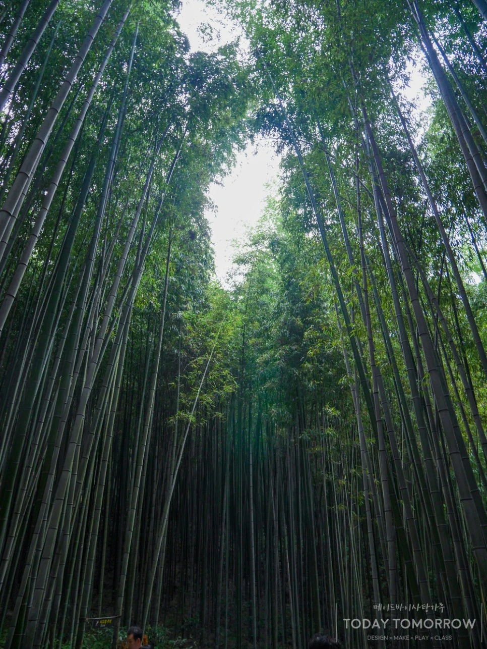 SE-cd764fa1-5111-4d35-9826-8fbbc9248c42.jpg?type=w966