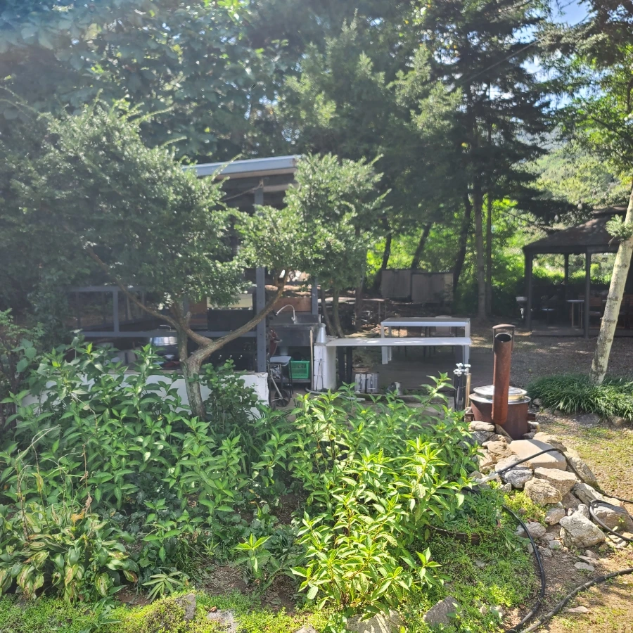 20230906%EF%BC%BF141156.jpg?type=w966