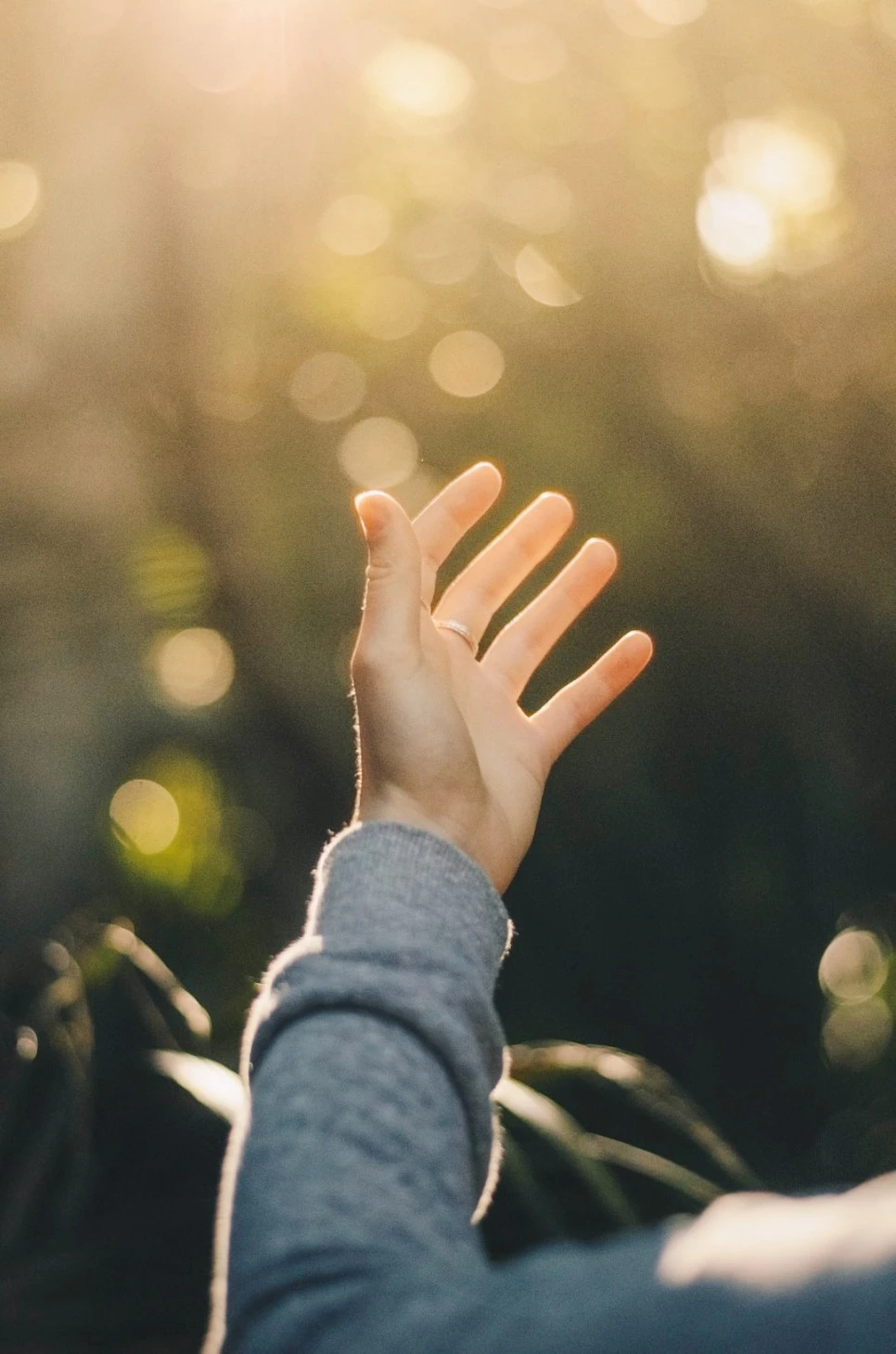 SE-6ec5cf0b-da9e-4c15-81ac-90a0b1f06277.jpg?type=w966